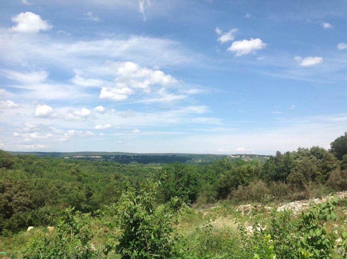 Au Coin Des Cerisiers Villa Montclus  Kültér fotó